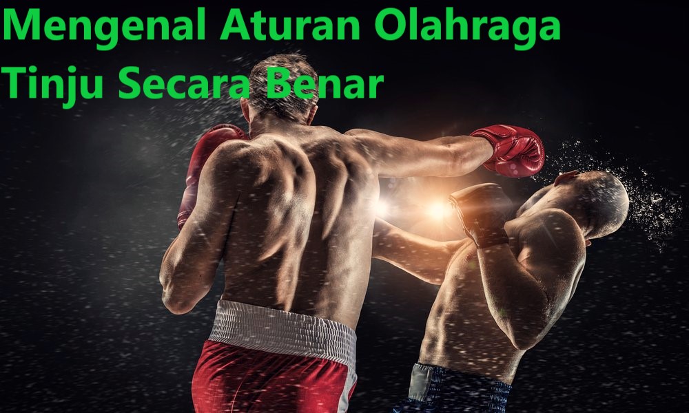 Mengenal Aturan Olahraga Tinju Secara Benar