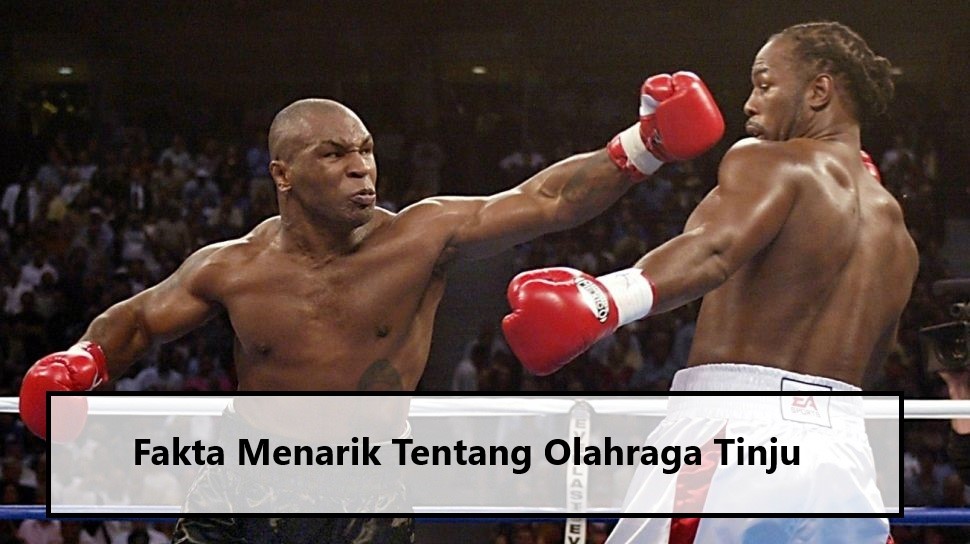 Fakta Menarik Tentang Olahraga Tinju