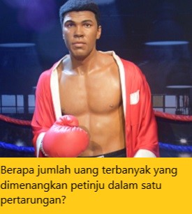 Berapa jumlah uang terbanyak yang dimenangkan petinju dalam satu pertarungan?